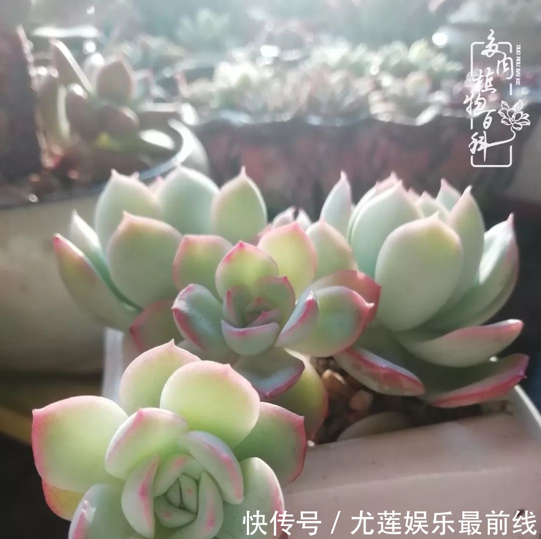  『那种』我爱的，就是你的存在！只要努力该来的都在路上！