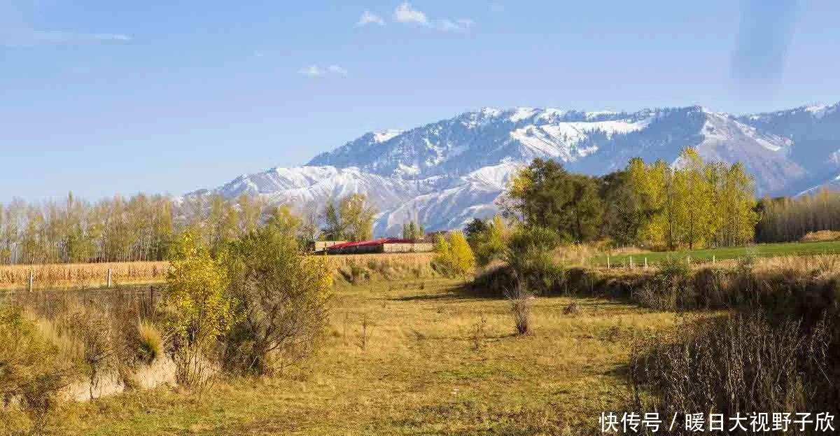 农村出了新的四大害，如今又来四大怪，老人不解这是咋了