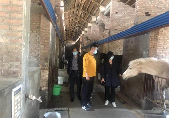  #人强马壮#“人强马壮”！济南市体育局党组成员王建军赴济南市马术协会调研