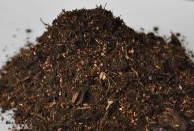 [耐阴]家里养花“光照差”？，推荐6种花，耐阴还漂亮，不见太阳就嗖嗖