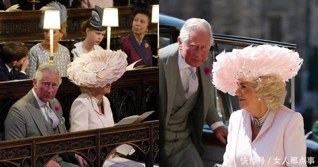 哈里婚礼宾客谁的装扮最抢镜戴妃侄女最美，卡米拉鸡窝头搏眼球