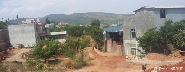  #难题#国家“出手”了, 着手解决困扰农民的2个难题, 农民好日子要来了