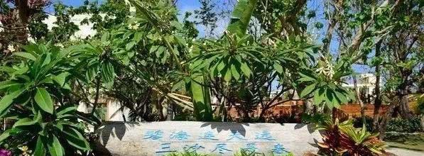 中国唯一不准老外进入的城市：人口仅400人 城市价值却达10万亿