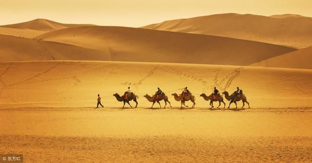 这个被中国“感动”而形成的6000亩湖泊，正在助力治沙，效果显著