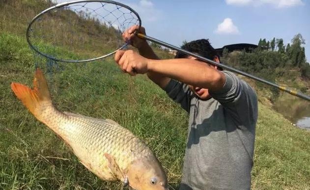 农村出现“少爷”家境贫寒不打工不种地，每天闲逛打牌却不缺钱花