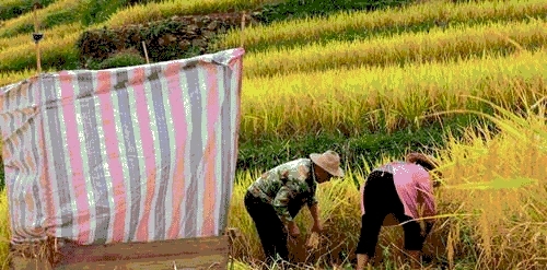 安徽被认为是“最穷”的四个县，不在六安，也不在宣城