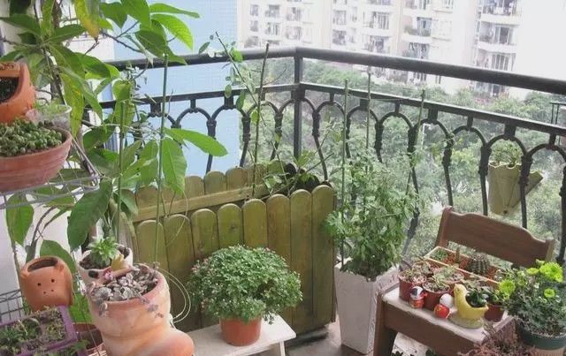  阳台：有一个小阳台，那就让它美成一道风景！