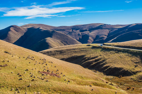 你根本想不到，在昆明周边，居然藏着一个像西藏的美丽地方