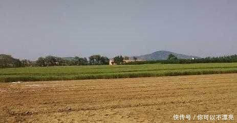 国家出钱收回农村土地，每亩补贴万元，农民翻身变土豪的机会来了