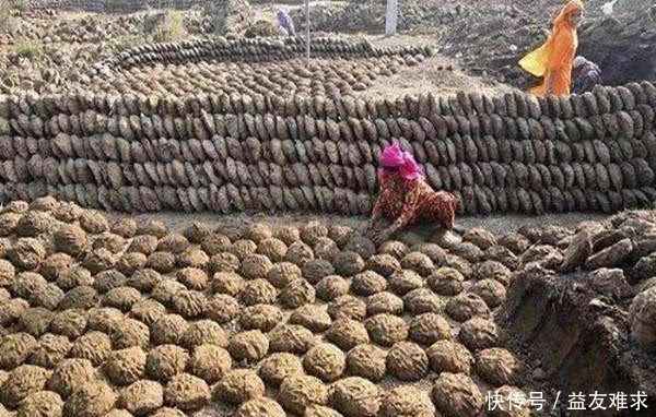 印度最“牛”公交，牛粪当动力！网友：领先中国十年，就是臭了点