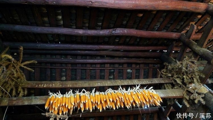  农村|近些年，时不时有人到农村高价收购房梁，用来干啥？看完才