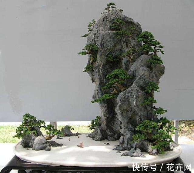 什么盆景最火?莫过于山水盆景,这3种形式最具观赏性!