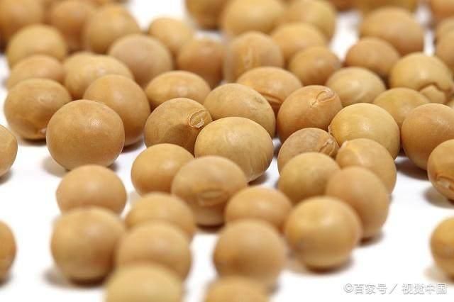 今日粮食价格:大豆和小麦稳中缓涨,玉米和水稻上涨潜力不大