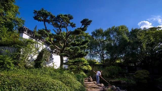 国内最大的专类盆景园,江南园林海派风格美不胜收