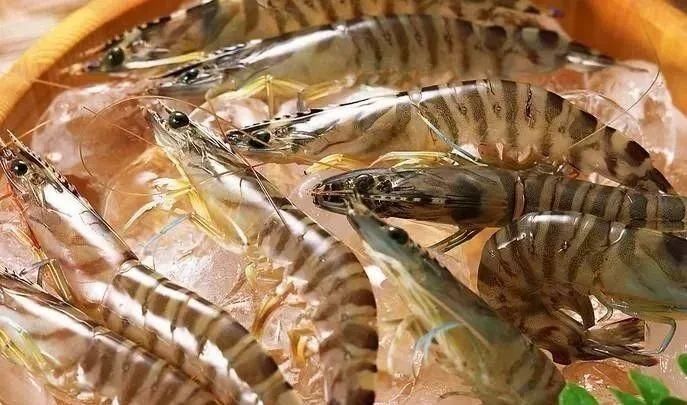 辟谣!!!盘点水产谣言，相信你就输了!