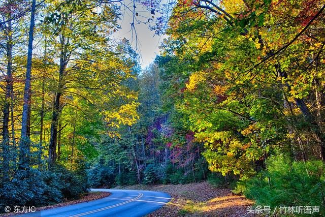 遇见秋，犹如故人归，愿时光多一些明媚，岁月静好，你亦无恙！