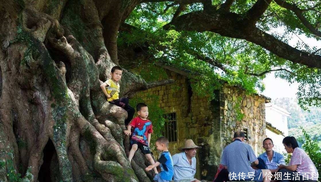  【道理】“五鬼树不进宅”，这句话啥意思呢？你觉得有道理吗？