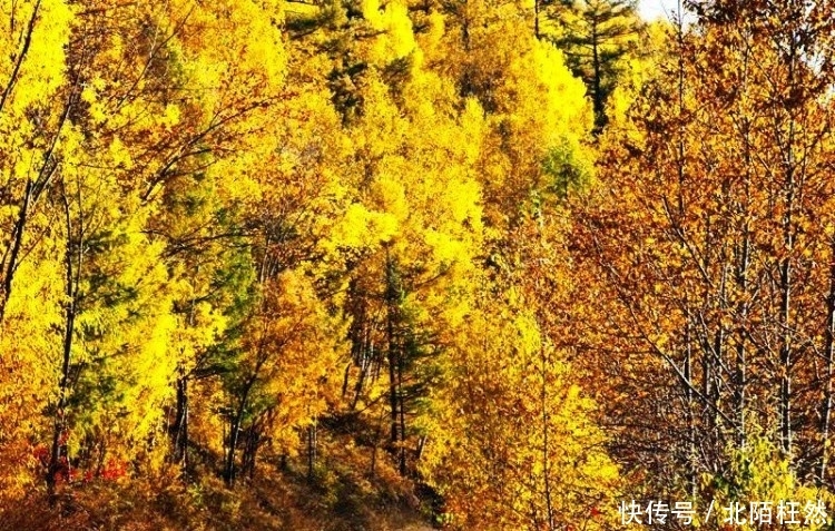 秋天的美无可比拟，这十五处秋色是中国最美的景色所在