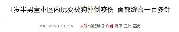 百万粉丝女网红遛狗不栓绳，还殴打8个月孕妇，真的好可怕!