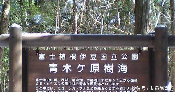 日本富士山暗藏“自杀名所” 50年来找到上千具尸体