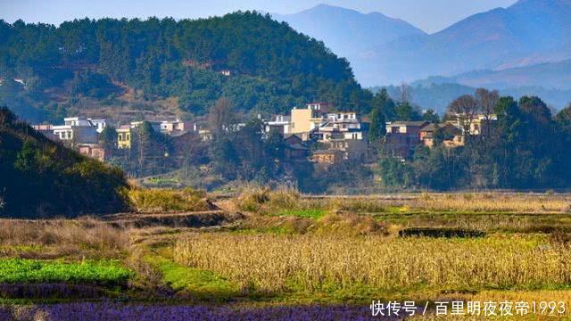  [中年人]农村这五类人，终究会离开城市回到农村，看看你们是不