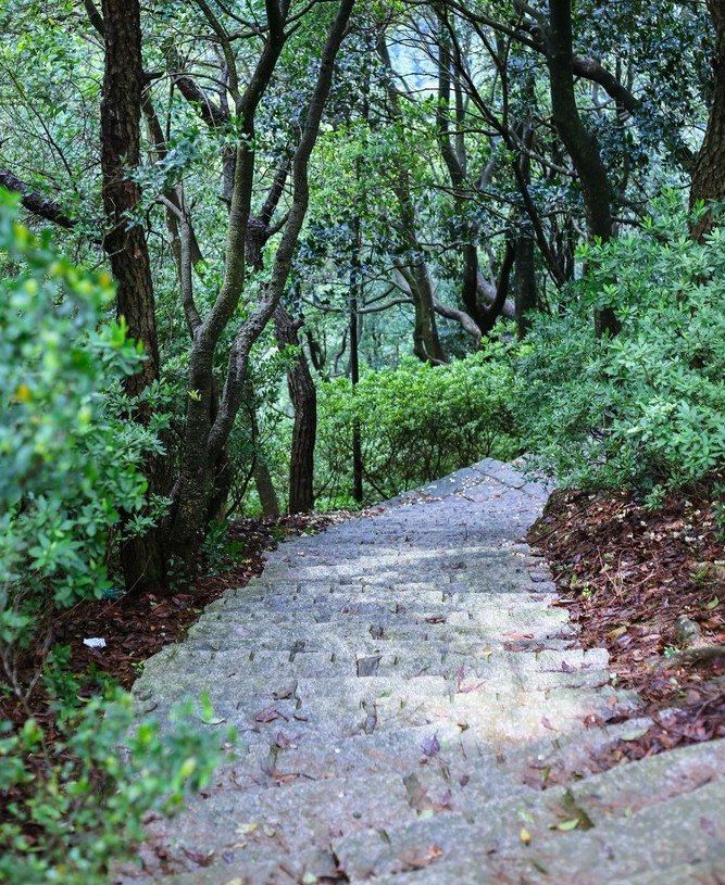 风景尽在云深处，驾RAV4荣放游石门国家森林公园