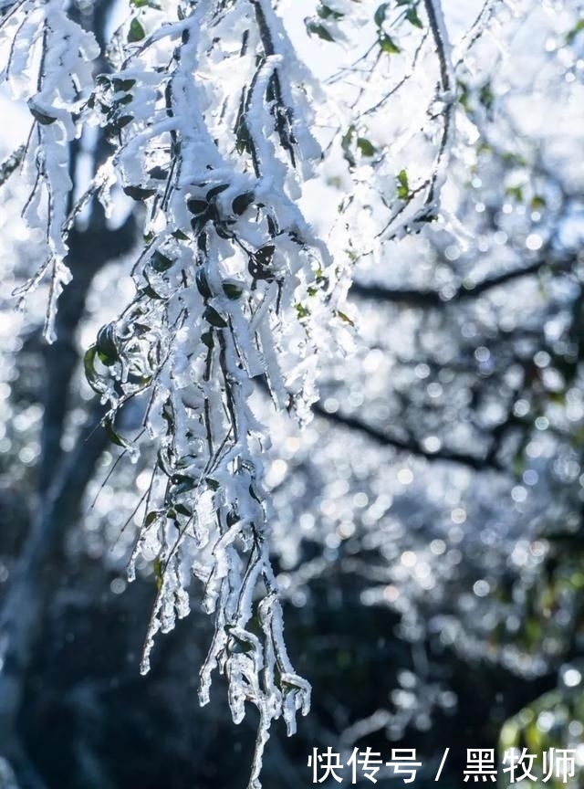  冰雪：灌阳风情：宝盖山的冰雪世界
