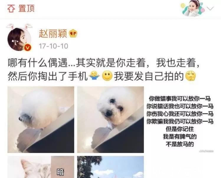 赵丽颖刚参加完活动就被造谣怀孕, 网友: 怀了个可装可卸的宝宝吗