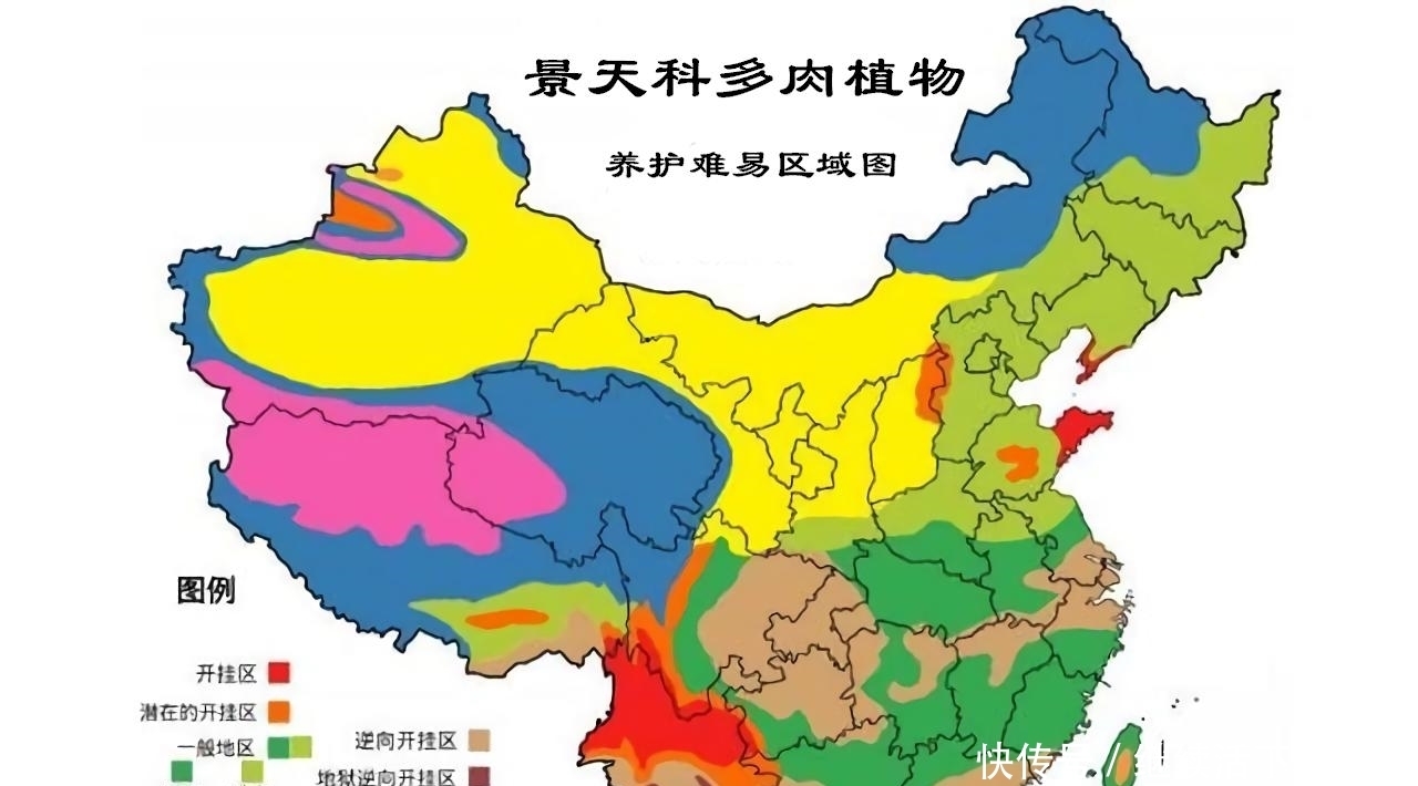  潜在开挂区|养多肉，地域很重要，来看看你是在开挂区，还是地狱逆挂区