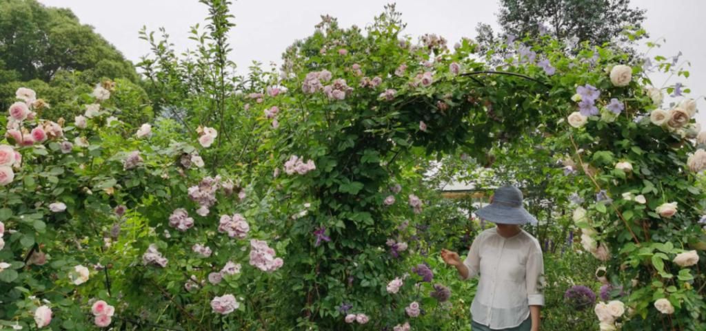  『辞职』从银行辞职做“花农”，她打造的花园超治愈