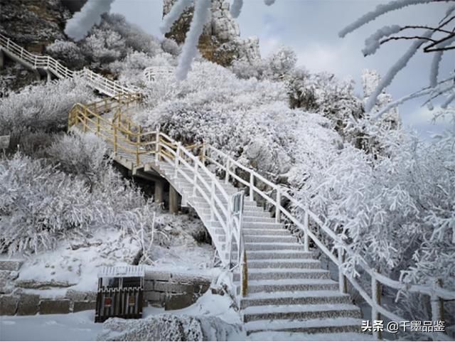 河北白石山现极致雪景 美成“童话王国”