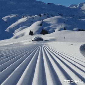 通过19个画面了解从不同角度所看到的世界