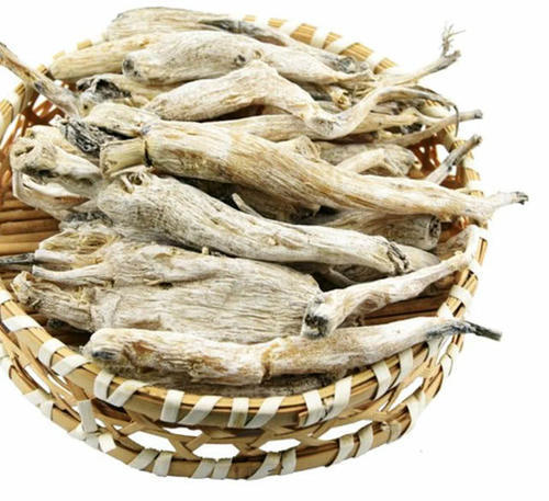 一种植物，以前家家户户都种植，酷似“人参”，如今一斤20元