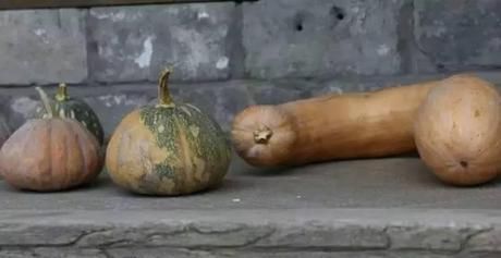 『小院』20多岁的年龄差距,却把一个破烂的农家小院变成了“桃花源”