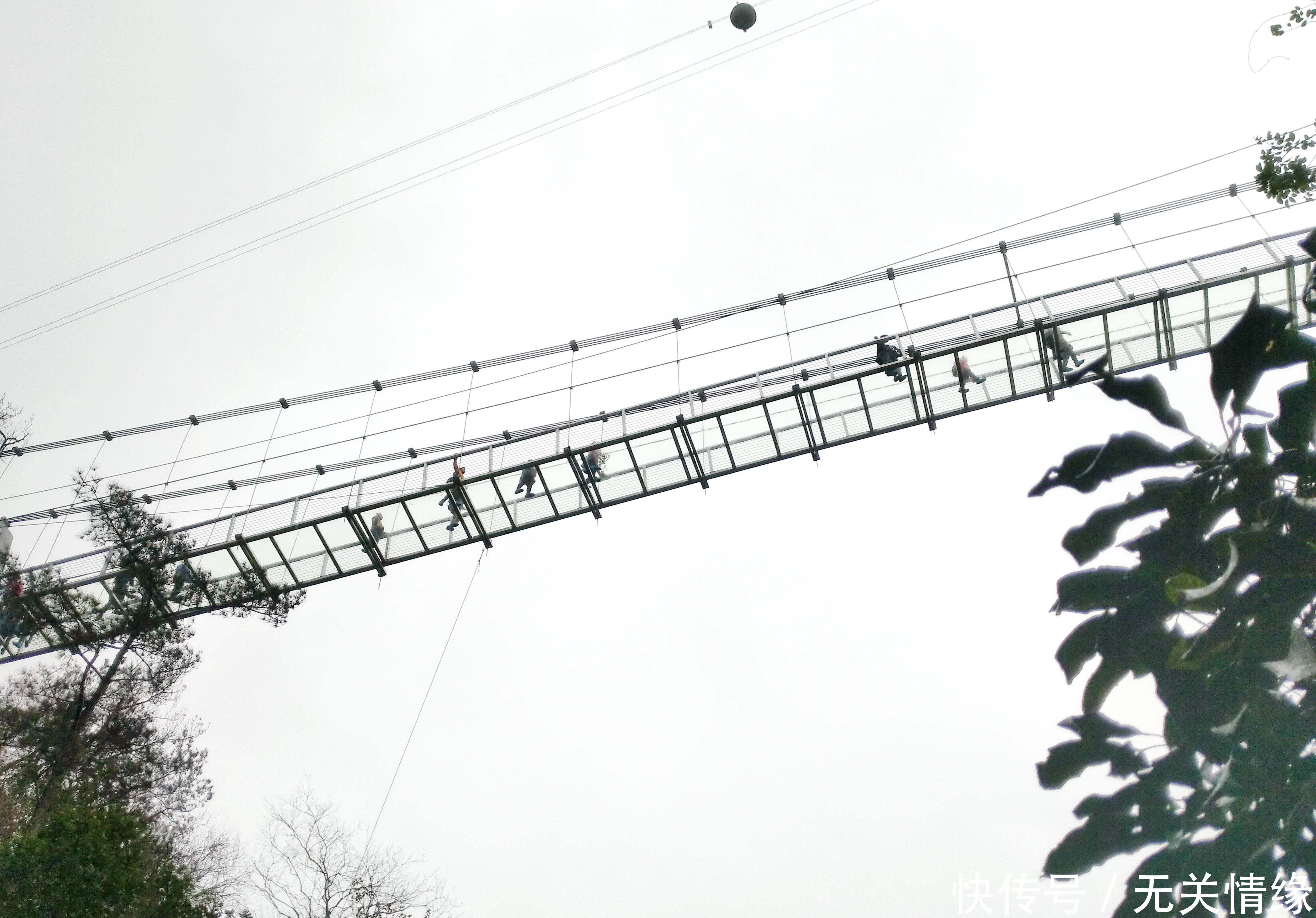 全国多地玻璃桥变身偷窥桥,为何张家界大桥却没事?