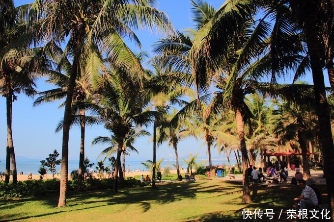 因大海到三亚，爱上大海