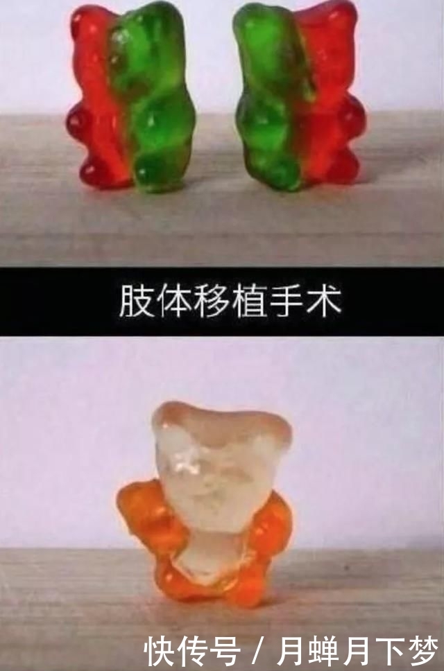  「玩坏」春节宅家自娱自乐大赛，无聊的人已经把自己玩坏了