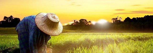  「农民朋友」未来10年农民的生活会怎么样？越来越好，还是越来