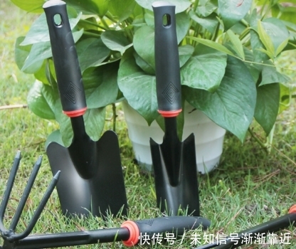 中国 “电动锄头”一出，耕地不再愁，一天能锄几百亩 ，忒省力