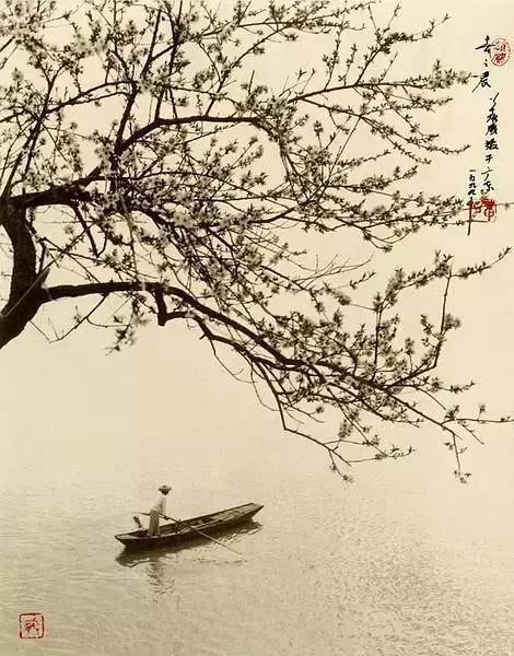 绝了，这真的是摄影，不是画的，看看大师之作！