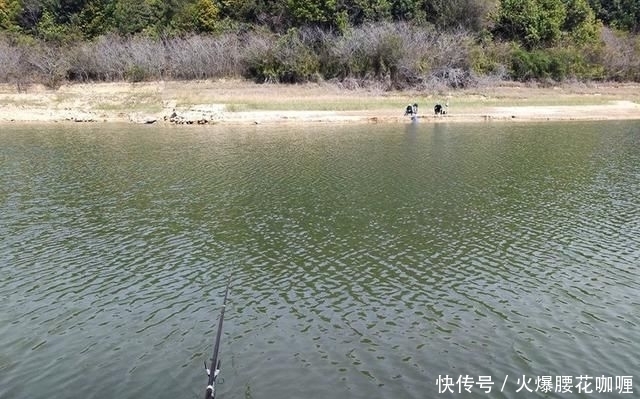  认准|春季钓鱼黄金季，钓位认准这3处，助你轻松有个好渔获