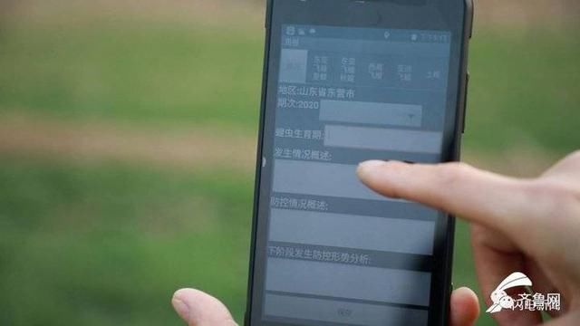  无人机■山东专家紧急赴“巴铁”灭蝗！曾开发蝗虫地图，用上飞机和无人机