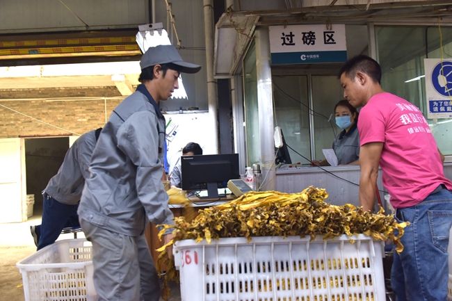 镇远羊场:党建引领多元产业大发展