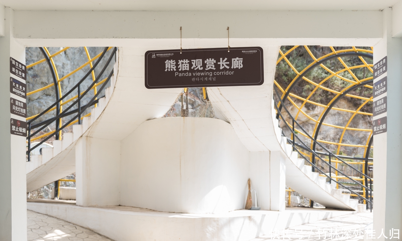 中国熊猫第一县在陕西？这座小城还有另外三种国宝级动物