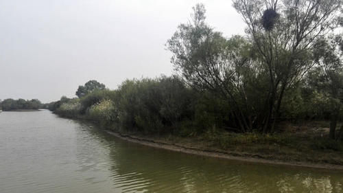 为什么山东最有钱的城市不是济南和青岛？而是这座鲜为人知的小城