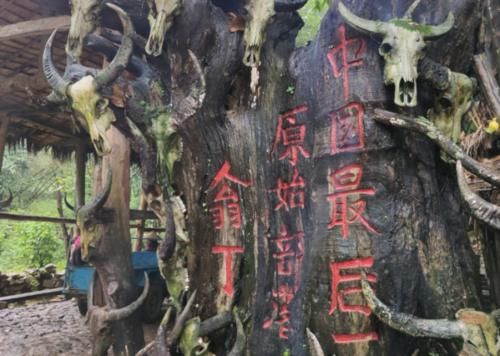  「当中」中国最后的“原始部落”，盖房不用一砖一瓦，家家都住