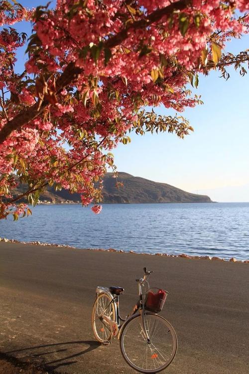 旅行达人必去的10个目的地,你去过几个?