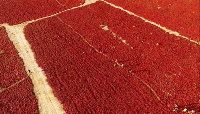 不到新疆，都不知道中国的秋天有多美！秋天的丝绸之路景色宜人