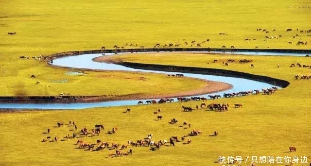 呼伦贝尔的秋天，美的太高级