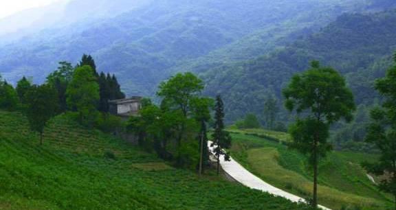 为何农村患癌率越来越高？专家说3个因素，庆幸自己在城里买房！